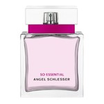 Angel Schlesser So Essential (50 .)